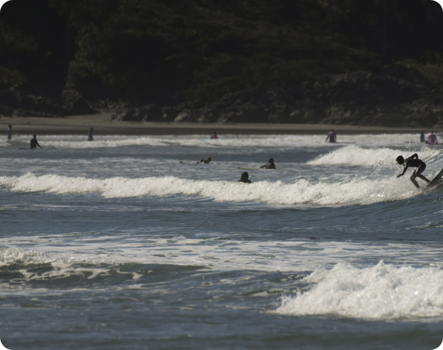 View of surfers in water