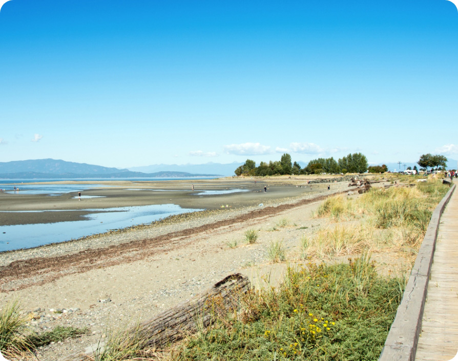 Shoreline and beach